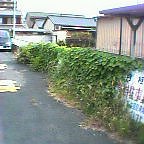 쐶̃wu[u[i